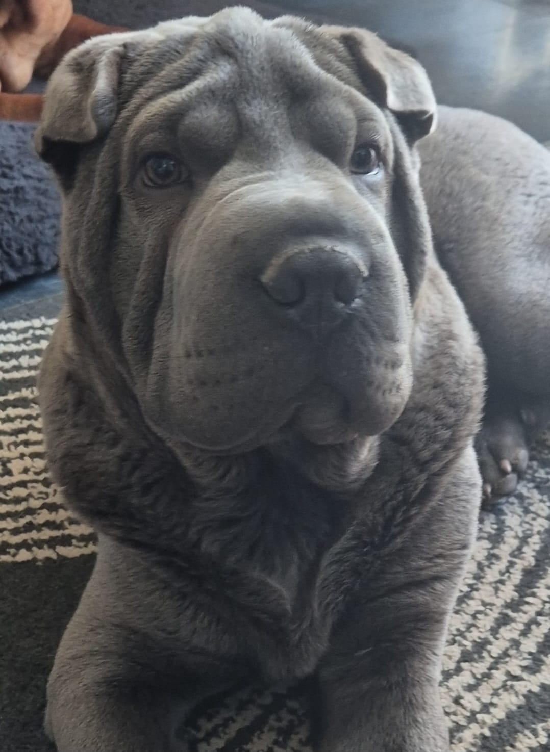 Balu